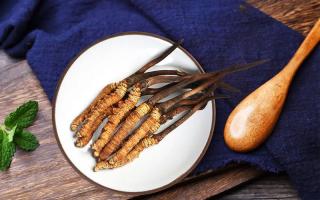 冬蟲(chóng)夏草有何藥用價(jià)值，蟲(chóng)草有啥子作用