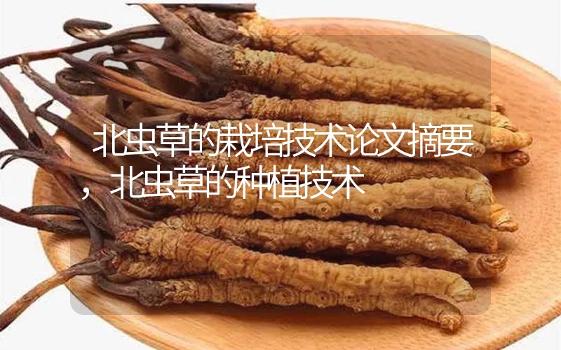 北蟲草的栽培技術(shù)論文摘要，北蟲草的種植技術(shù)