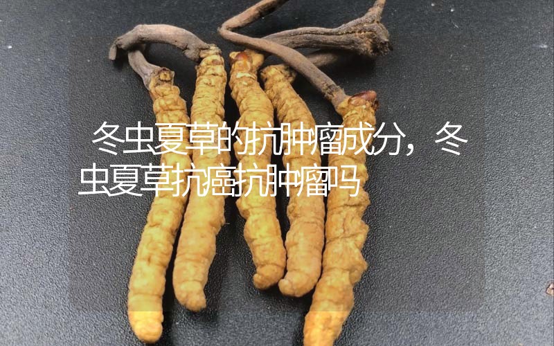 冬蟲夏草的抗腫瘤成分，冬蟲夏草抗癌抗腫瘤嗎？