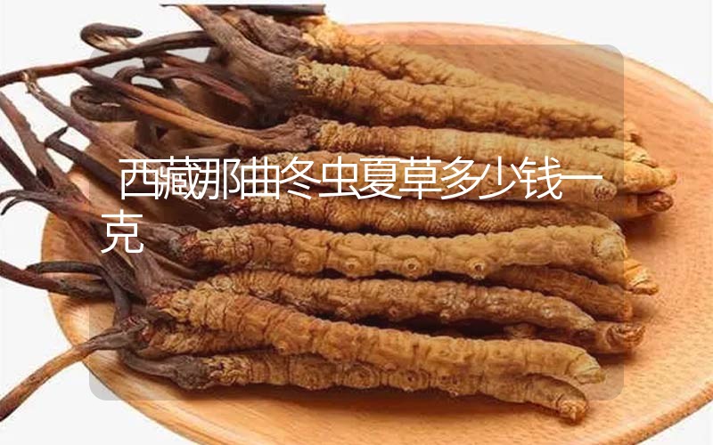 西藏那曲冬蟲(chóng)夏草多少錢(qián)一克？