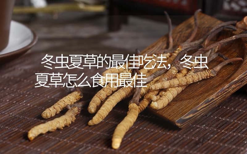冬蟲夏草的最佳吃法，冬蟲夏草怎么食用最佳
