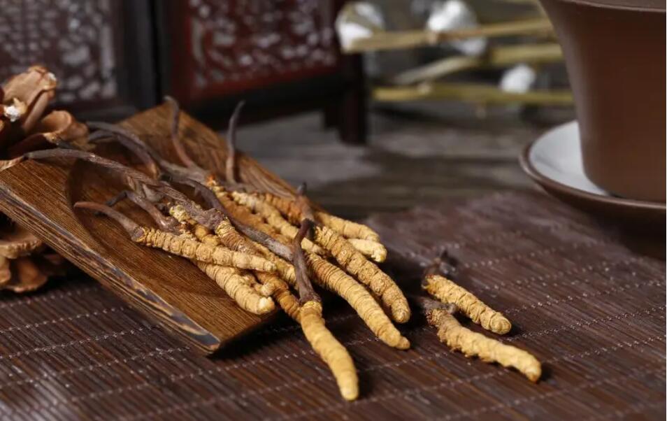 冬蟲夏草怎么選擇，冬蟲夏草選怎么樣的最好?