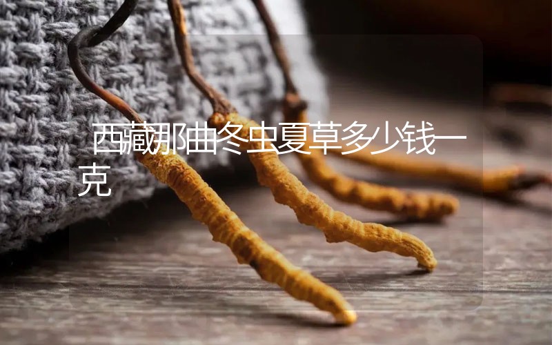 西藏那曲冬蟲(chóng)夏草多少錢(qián)一克？