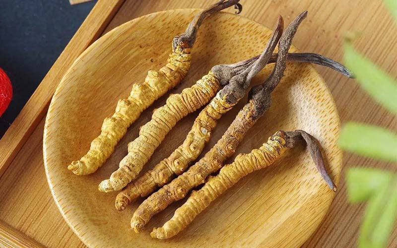 冬蟲(chóng)夏草作用可以調(diào)節(jié)身體肝臟功能嗎？