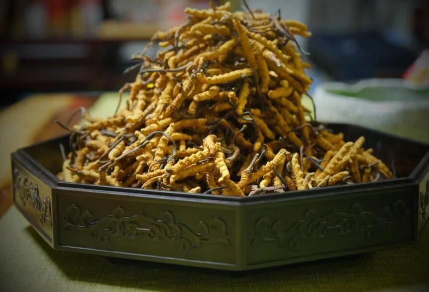 <a href=http://m.ddhuz.com/ target=_blank class=infotextkey>冬蟲夏草</a>