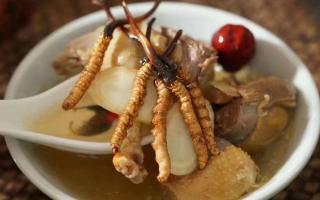 冬蟲(chóng)夏草不為人知的美容養(yǎng)顏