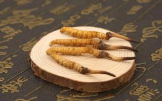 冬蟲夏草買后要當(dāng)心？