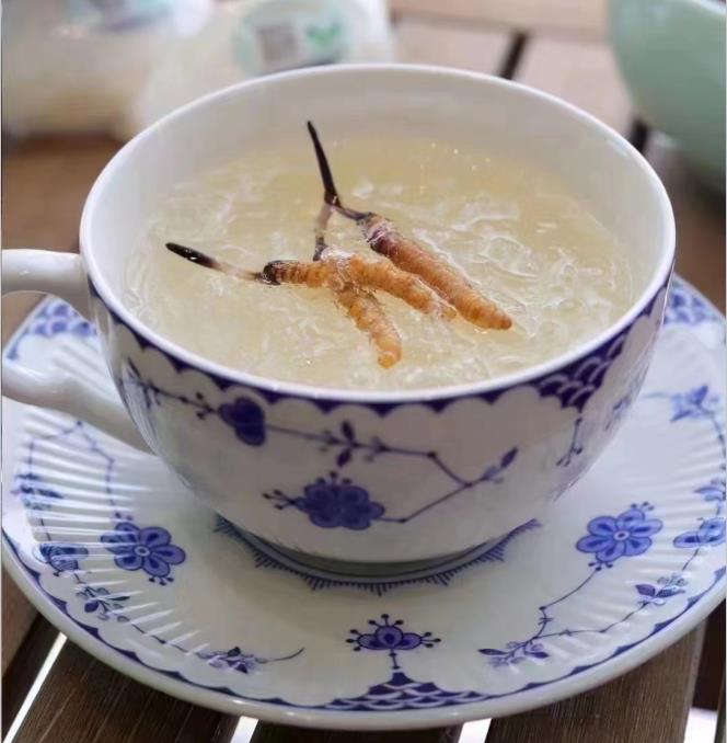 養(yǎng)生小竅門：冬蟲夏草燉什么好喝？
