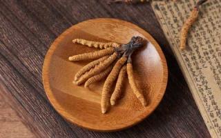 人工種植的冬蟲夏草品質究竟怎么樣？