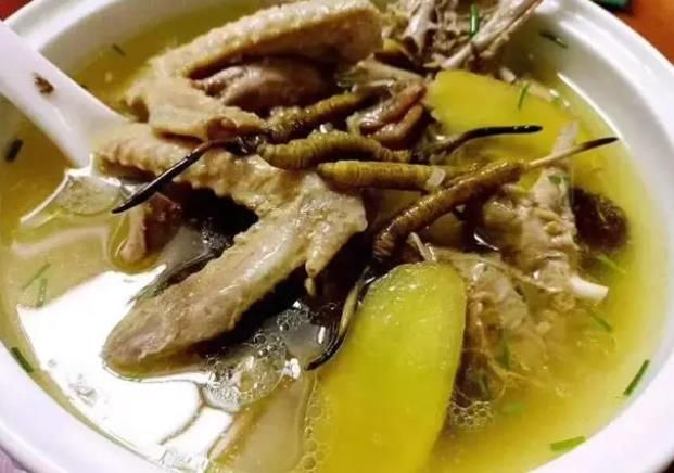 冬蟲(chóng)夏草和哪些食材可以一起煲湯？
