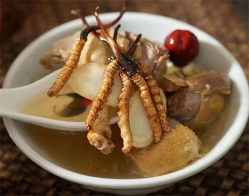 冬蟲夏草可以燉海鯽魚嗎？