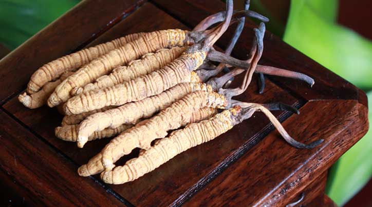 那曲冬蟲(chóng)夏草煲湯的滋補(bǔ)秘籍