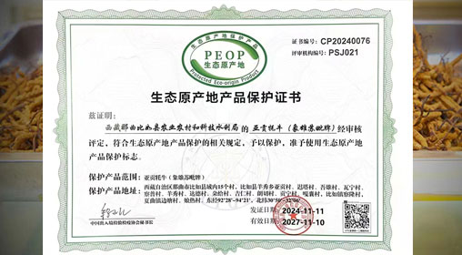 德耀娜秀 奮進(jìn)比如║熱烈祝賀！比如縣“亞貢牦?！比脒x農(nóng)業(yè)農(nóng)村部全國名特優(yōu)新農(nóng)產(chǎn)品名錄