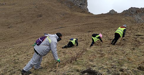 <a href=http://m.ddhuz.com/sdph/zf/ target=_blank class=infotextkey>珍峰冬蟲夏草</a>:源自世界屋脊的養(yǎng)生瑰寶