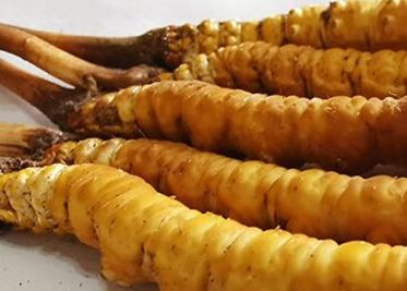 <a href=http://m.ddhuz.com/sdph/zf/ target=_blank class=infotextkey>珍峰冬蟲夏草</a>主要的銷售模式