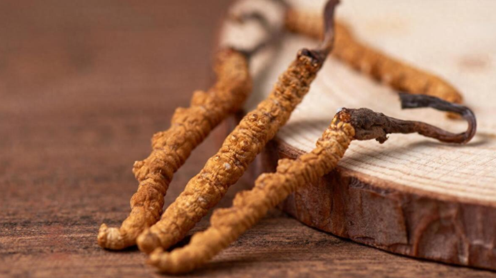 冬蟲夏草對(duì)鼻炎的緩解作用:科學(xué)解析與使用指南