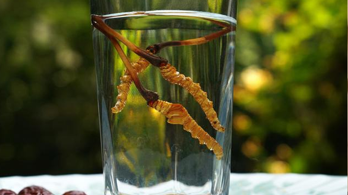 探秘五糧液冬蟲(chóng)夏草酒價(jià)格:多維視角下的市場(chǎng)剖析