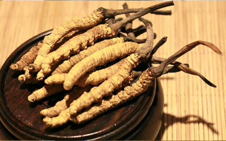 未來冬蟲夏草會漲價嗎？