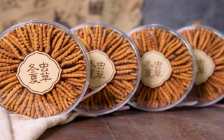 冬蟲夏草一盒多少錢？全方位剖析價格構(gòu)成