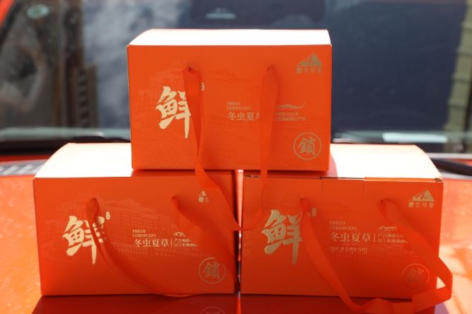 當冬蟲夏草邂逅橘色包裝:奢華與文化的交融