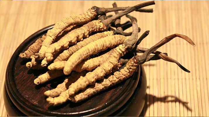 探秘西藏冬蟲夏草最大產(chǎn)地 —— 那曲