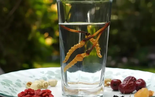 冬蟲夏草鮮品泡酒：養(yǎng)生佳釀還是健康隱患？