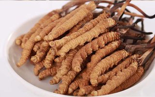 冬蟲夏草適合所有人群?jiǎn)?？一文揭?> </div>
            <div   id=