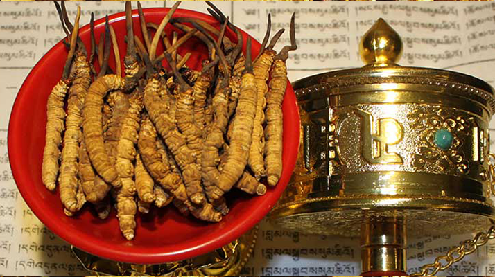 <a href=http://m.ddhuz.com/gongxiao/ target=_blank class=infotextkey><a href=http://m.ddhuz.com/gongxiao/ target=_blank class=infotextkey><a href=http://m.ddhuz.com/yangsheng/ target=_blank class=infotextkey>冬蟲夏草的功效</a></a></a>解析:傳統(tǒng)珍寶的現(xiàn)代價(jià)值