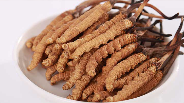 野生鮮<a href=http://m.ddhuz.com/s/nqcc/ target=_blank class=infotextkey>那曲冬蟲夏草</a>:雪域高原的時(shí)令滋補(bǔ)珍品