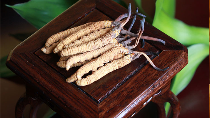 怎樣鑒別<a href=http://m.ddhuz.com/tag/6.html target=_blank class=infotextkey>冬蟲夏草的產(chǎn)地</a>