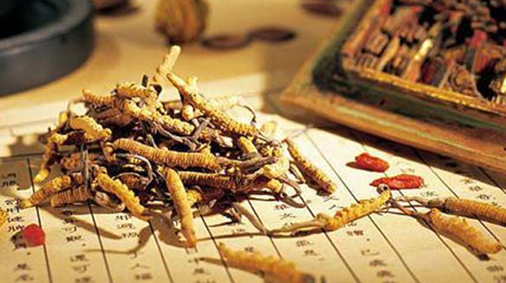 老人可以喝冬蟲(chóng)夏草湯嗎？科學(xué)分析與飲用指南