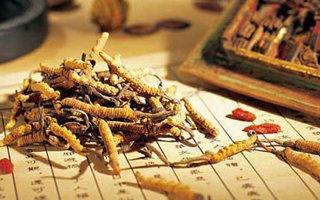 老人可以喝冬蟲(chóng)夏草湯嗎？科學(xué)分析與飲用指南