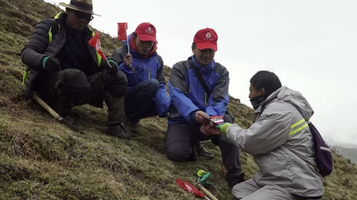 冬蟲夏草：把握最佳采摘季，守護(hù)自然饋贈