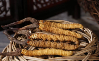 冬蟲(chóng)夏草如何晾干儲(chǔ)存？從晾干技巧到儲(chǔ)存方法全指南