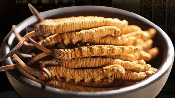 冬蟲夏草食用方法與用量指南:科學(xué)滋補(bǔ)的關(guān)鍵把控