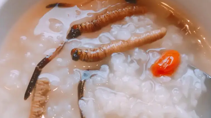 冬蟲夏草適合哪些人群？精準匹配與禁忌提醒