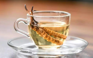 一瓶酒泡多少冬蟲夏草？科學搭配有講究