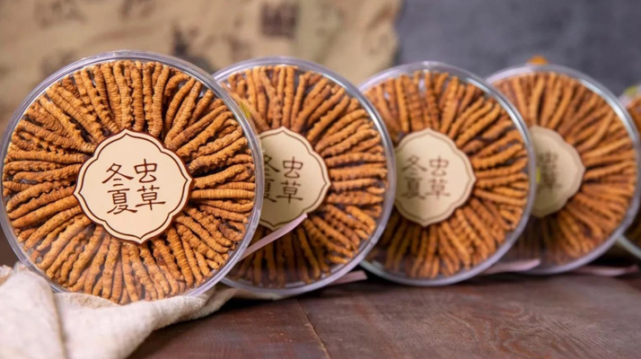 把握黃金時段！冬蟲夏草在這些時候吃效果更佳