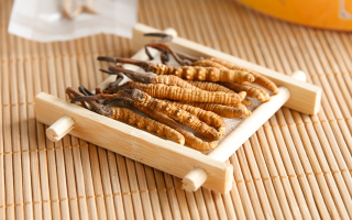 冬蟲夏草怎么燉比較好？解鎖營養(yǎng)不流失的燉煮指南
