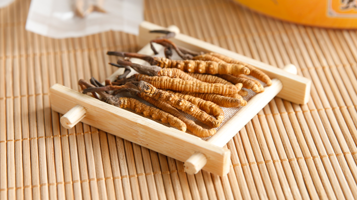  冬蟲(chóng)夏草效果好不好用？看適用場(chǎng)景與人群，理性看待才不踩坑