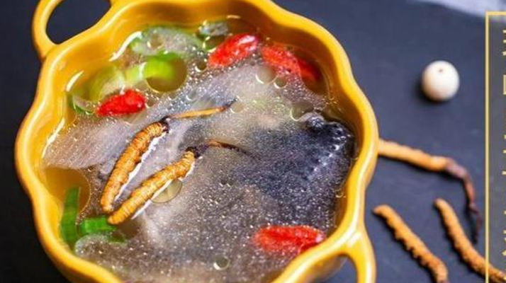 野生冬蟲夏草:副作用風(fēng)險(xiǎn)需理性看待