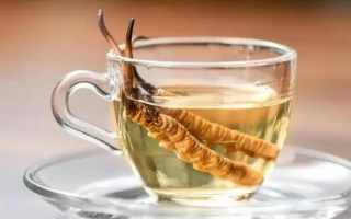 十根冬蟲夏草泡多少酒？科學配比與實操指南