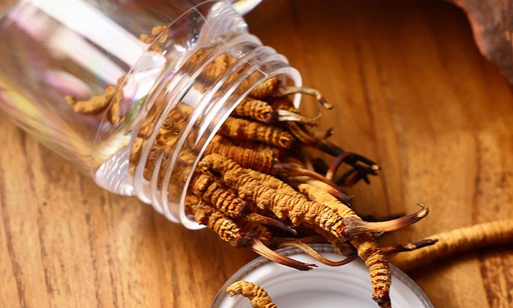 <a href=http://m.ddhuz.com/jiage/ target=_blank class=infotextkey>冬蟲(chóng)夏草多少錢(qián)</a>一條 