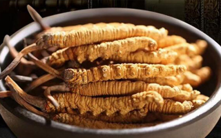 冬蟲夏草掰開后什么樣？從斷面細節(jié)識破品質(zhì)與真?zhèn)?> </div>
            <div   id=