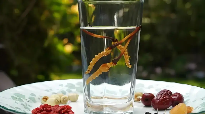 人參配蟲草泡酒，泡多久才好喝 