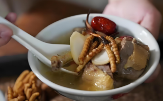 冬蟲夏草和什么一起燉可以治咳嗽？