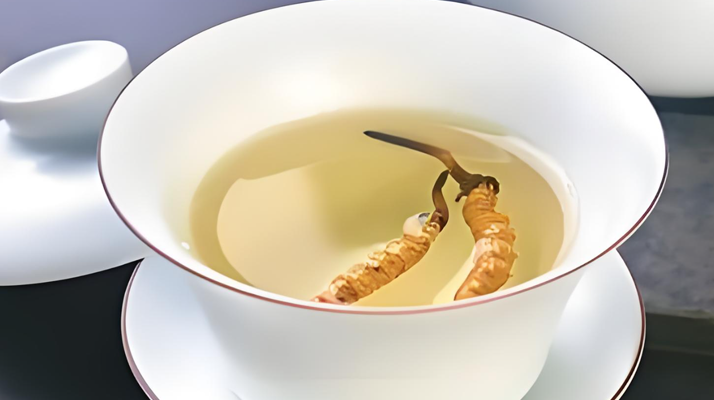 鮮冬蟲夏草可以煮水喝嗎？有什么功效和作用？