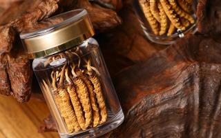 冬蟲(chóng)夏草養(yǎng)生指南：分清滋補(bǔ)功效，避開(kāi)養(yǎng)生誤區(qū)