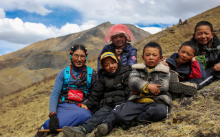 蟲(chóng)草采挖需要知道的安全常識(shí)