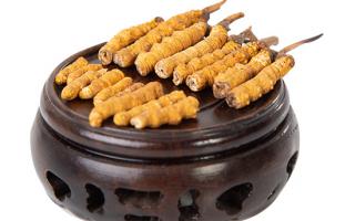 冬蟲(chóng)夏草的頭期斷草好嗎？有沒(méi)有營(yíng)養(yǎng)價(jià)值？
